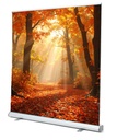 Automne 2