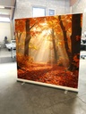 Automne 2