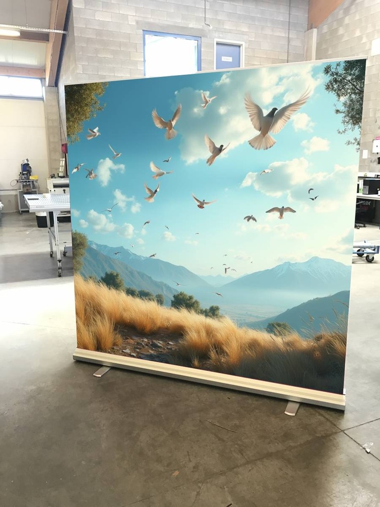 Oiseaux 3