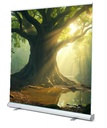 Arbre 2