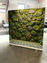 Mur 5